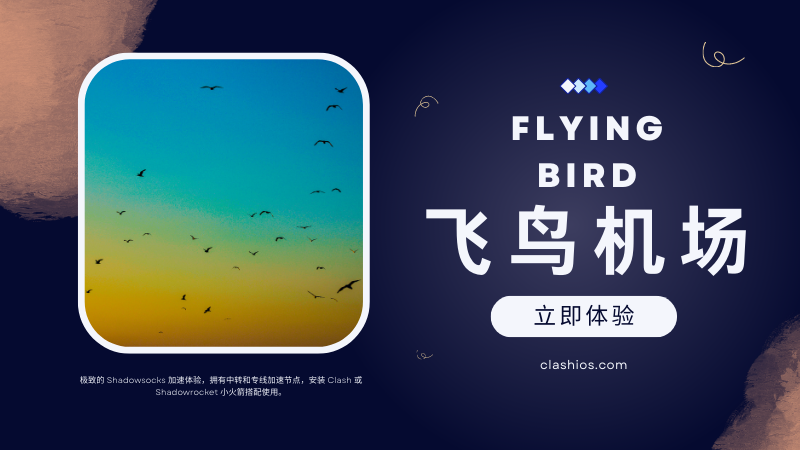 FlyingBird 飞鸟机场怎么样？飞鸟机场节点及测速